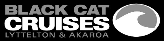 Black Cat Cruises