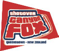 Shotover Canyon Fox