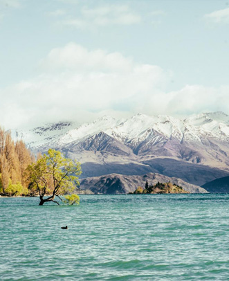 Customize Tours for Muslim Tourists in New Zealand | NZ Malaya