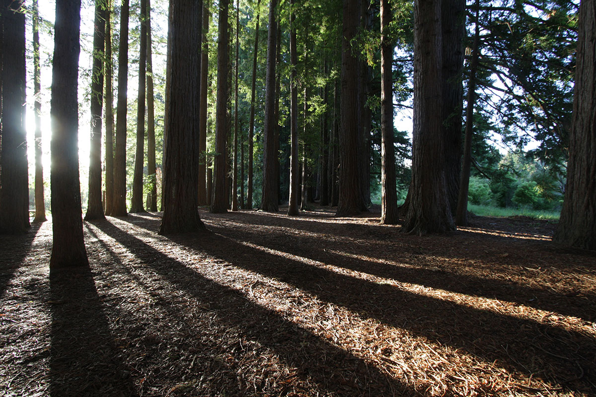 10 Days 8 Nights North & South Private Package – Season Spring