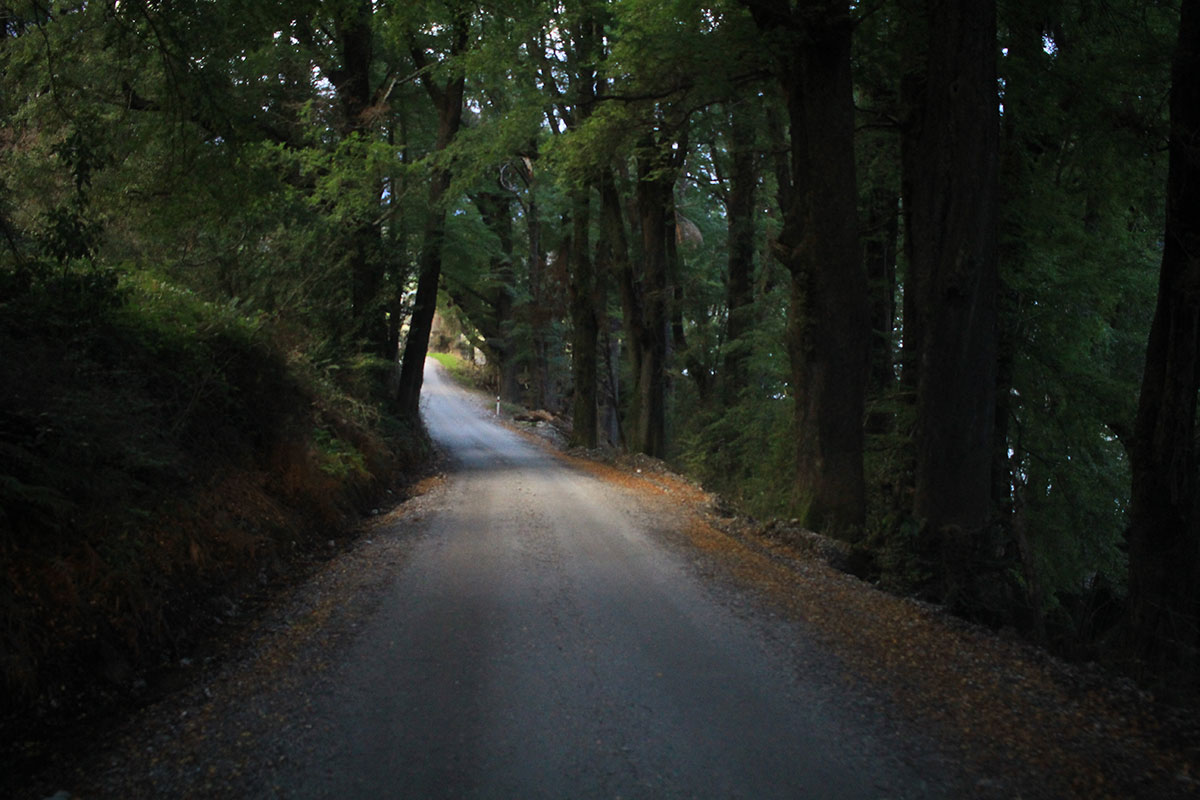 10 Days 8 Nights North & South Self-drive Package