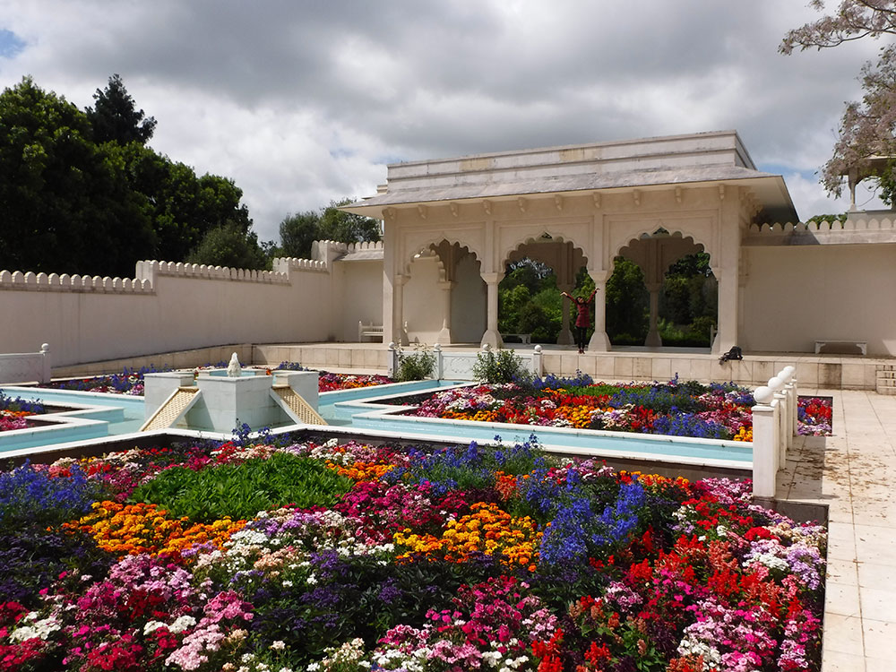 Let’s Start Our New Zealand Journey!