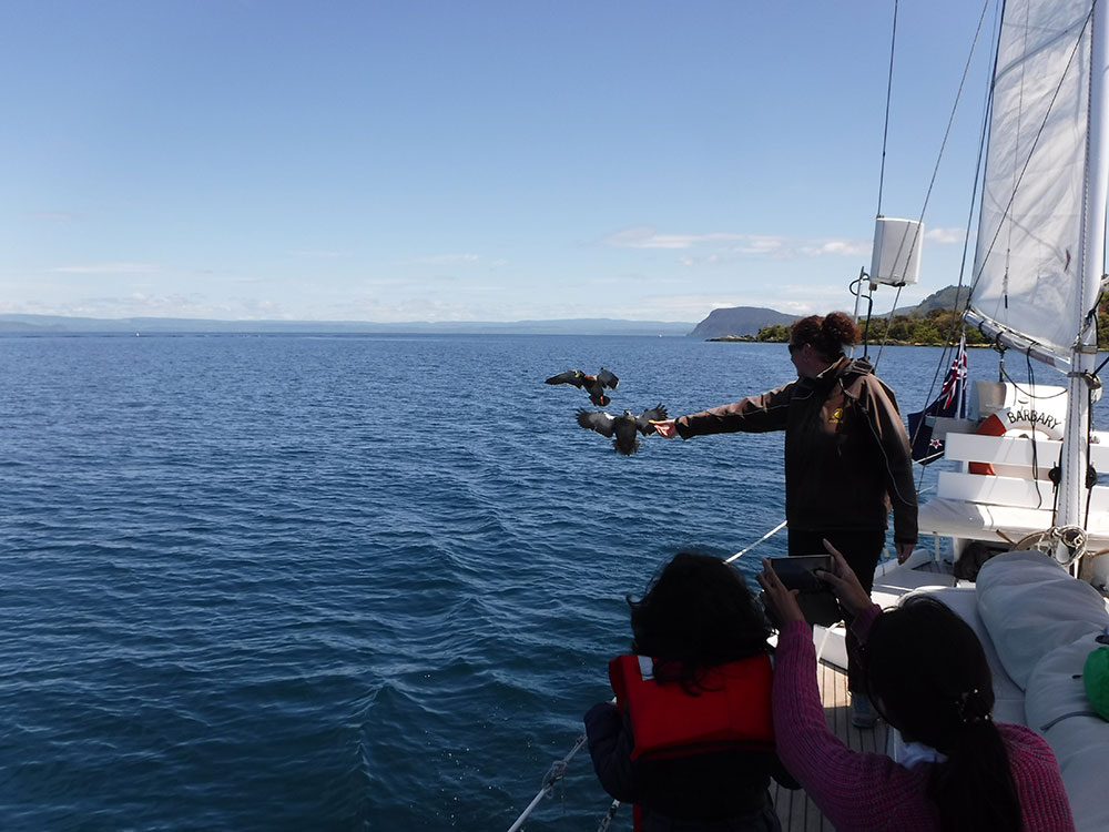 Rotorua - Taupo - Auckland - Christchurch