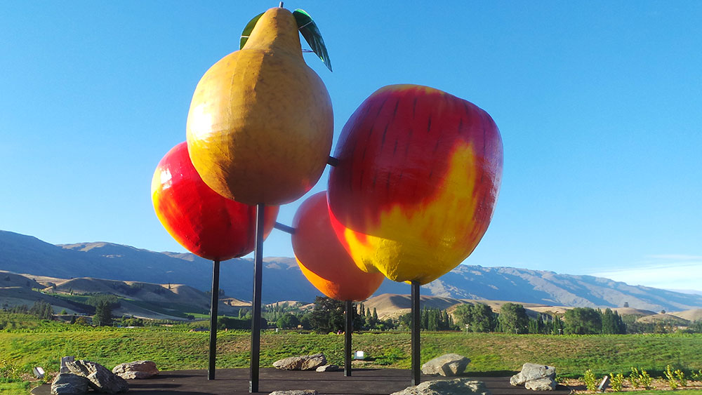 Wanaka - Cromwell - TeAnau